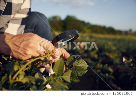 Looks at the plants under a magnifying glass. Woman is on the agricultural field at daytime Looks at the plants under a magnifying glass. Woman is on the agricultural field at daytime 125081065