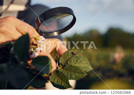 Using magnifying glass. Woman is on the agricultural field at daytime Using magnifying glass. Woman is on the agricultural field at daytime 125081066