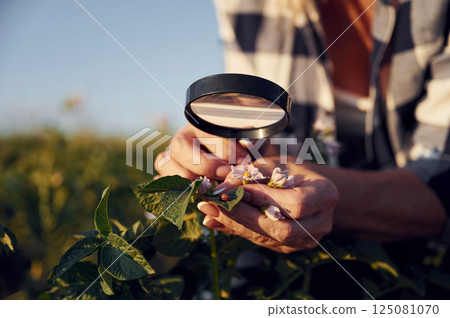 Using magnifying glass. Woman is on the agricultural field at daytime Using magnifying glass. Woman is on the agricultural field at daytime 125081070