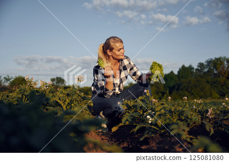 Standing and holding cauliflower. Woman is on the agricultural field at daytime 125081080