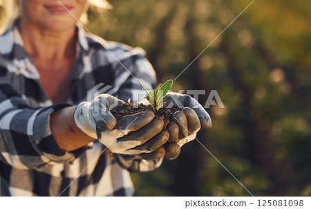 Artichoke is in hands. Woman is on the agricultural field at daytime Artichoke is in hands. Woman is on the agricultural field at daytime 125081098
