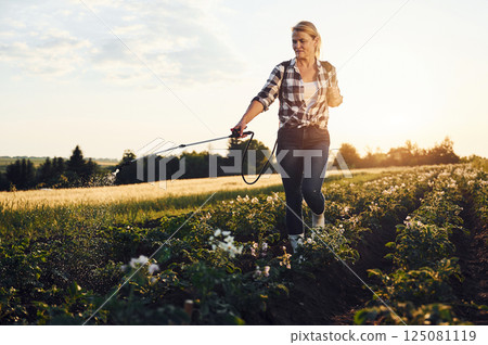 Sprinkles potatoes. Woman is on the agricultural field at daytime 125081119
