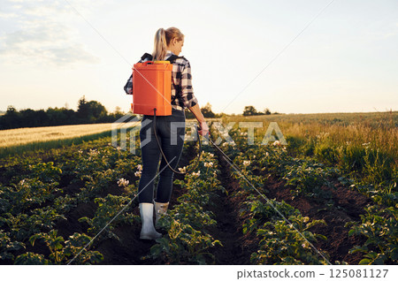 Rear view of woman that using equipment for sprinkle potato on the agricultural field at daytime 125081127