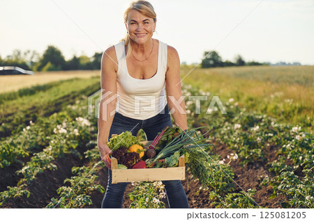 Cabbage, pepper, potato and onion in a basket. Woman is on the agricultural field at daytime 125081205