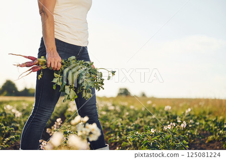 Holding beetroot in hand. Woman is on the agricultural field at daytime Holding beetroot in hand. Woman is on the agricultural field at daytime 125081224