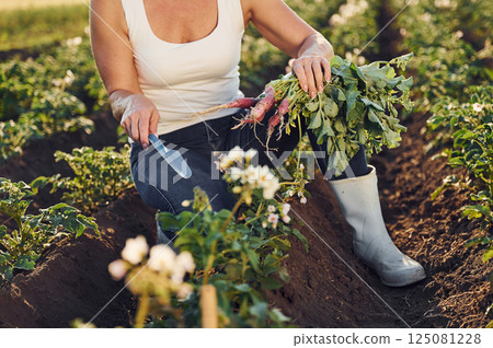 Holding beetroot in hand. Woman is on the agricultural field at daytime Holding beetroot in hand. Woman is on the agricultural field at daytime 125081228