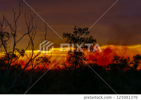 Controlled hazard reduction burning to reduce bushfire risk Controlled hazard reduction burning to reduce bushfire risk 125081370