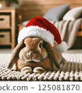 funny rabbit sitting on the couch 125081870