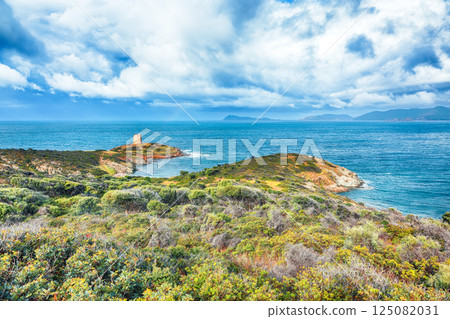 Attractive morning view  of Piscinni bay with turquoise sea and famous coastal tower of Piscinni. 125082031