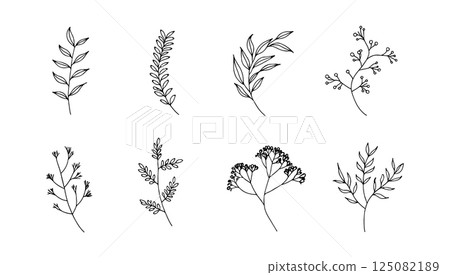 Bold silhouette botanical element. A bold silhouette botanical element with high contrast leaf and plant shapes. Bold silhouette botanical element. A bold silhouette botanical element with high contrast leaf and plant shapes. 125082189