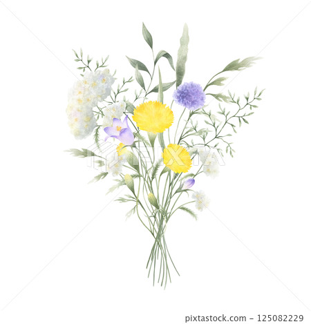 Bouquet of watercolor wildflowers dandelion, bellflower, yarrow and meadow grasses. Hand drawn isolated illustration of white, yellow and lilac flowers, wild greenery for postcards and stickers 125082229
