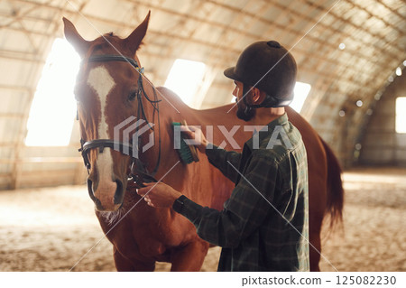 Cleans wool by brush. Young man with a horse is in the hangar Cleans wool by brush. Young man with a horse is in the hangar 125082230