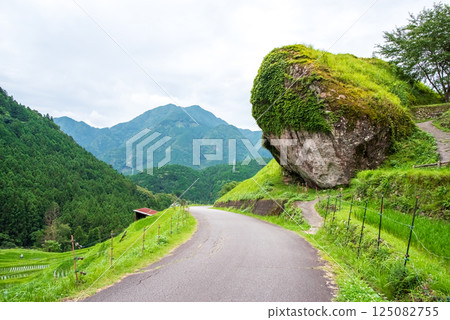 插秧季的丸山千枚田稻田（三重縣熊野市） 125082755