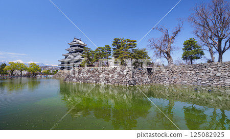 National treasure Matsumoto Castle reflected in the moat 125082925