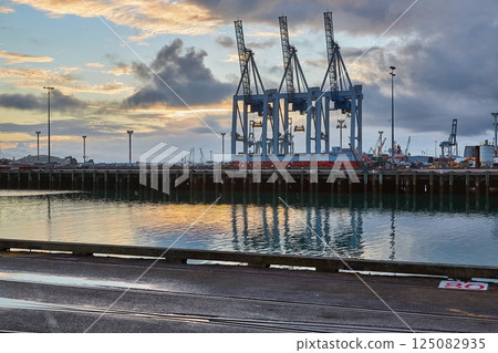 Industrial cargo cranes in shipping port 125082935