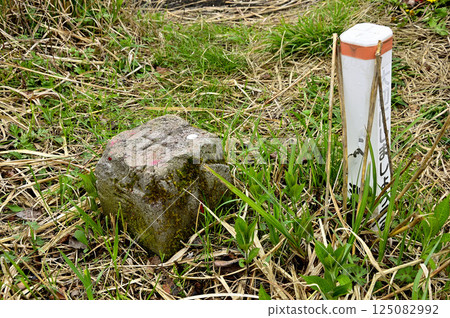 Tanzawa's Koshu border ridge: triangulation point at the summit of Mt. Teppokinoto 125082992