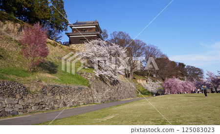 Shinshu Ueda Castle Park in Spring 125083023