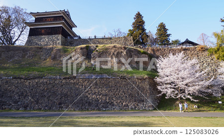 Shinshu Ueda Castle Park in Spring 125083026