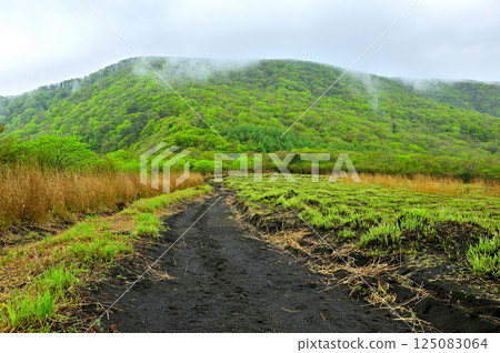 從丹澤甲州邊境山脊的鐵板山眺望,三國山的新綠 從丹澤甲州邊境山脊的鐵板山眺望,三國山的新綠 125083064