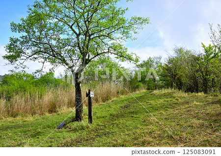 Tanzawa's Koshu border ridge: The summit of Mt. Takasashi with fresh greenery 125083091