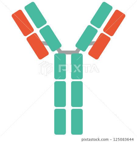 免疫球蛋白E（IgE）插圖（單品）綠色 125083644