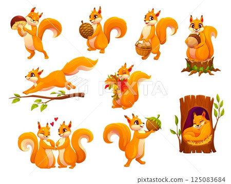 Cartoon squirrel animal characters set. Cute forest animal vector personages with nuts, mushroom, pine cone and acorns in basket. Cartoon red squirrels running on tree branch and sleeping in hollow 125083684