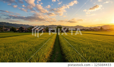Countryside scenery in the evening 125084433