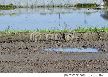 Farm work April Farm work April 125084620