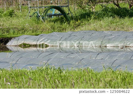 Farm work April Farm work April 125084622