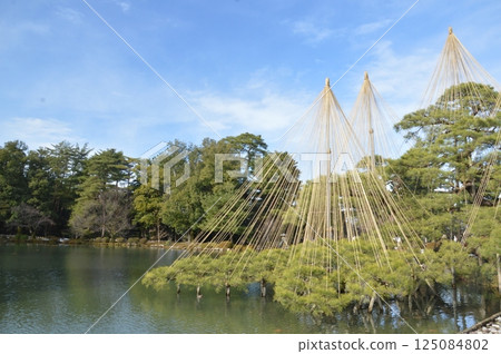 Kasumigaike Pond and Yukitsuri (Kenrokuen Garden/Kenrokucho, Kanazawa City, Ishikawa Prefecture) 125084802