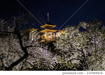 Three-story pagoda beyond the cherry blossoms at Sankeien Garden in Yokohama, Kanagawa Prefecture Three-story pagoda beyond the cherry blossoms at Sankeien Garden in Yokohama, Kanagawa Prefecture 125084828