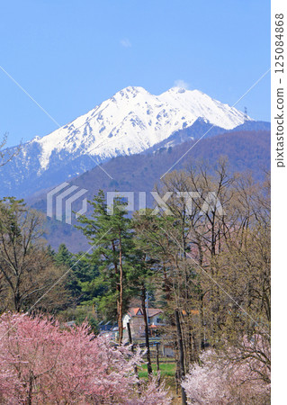 Azumino in spring when cherry blossoms bloom 125084868