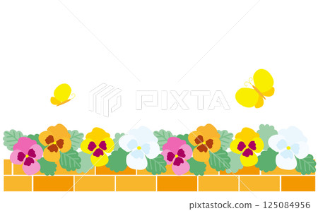 Illustration material of a beautiful flowerbed with pansies Illustration material of a beautiful flowerbed with pansies 125084956