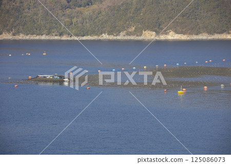 View of the Nori seaweed harvest from the Jumbo Ferry "Aoi" departing from Sakate Port, Shodoshima View of the Nori seaweed harvest from the Jumbo Ferry "Aoi" departing from Sakate Port, Shodoshima 125086073