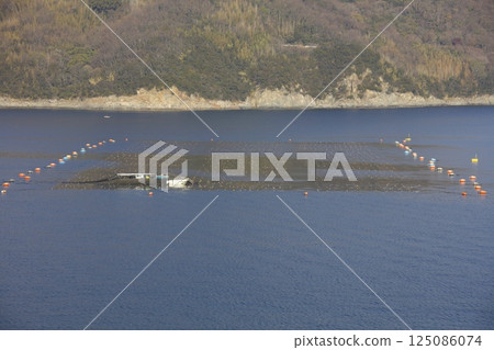 View of the Nori seaweed harvest from the Jumbo Ferry "Aoi" departing from Sakate Port, Shodoshima 125086074