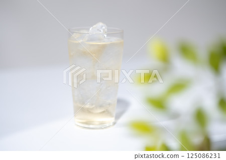高球 125086231