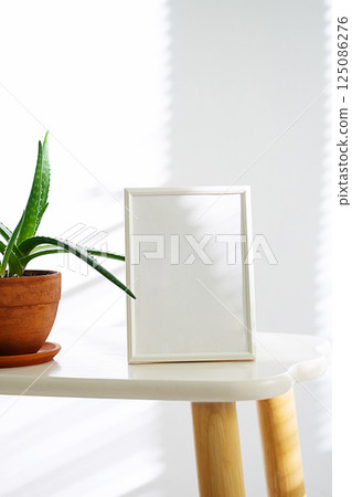 Empty White Frame Mockup on Side Table with Aloe Vera Plant. Modern Interior Decor. 125086276