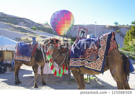 Türkiye 0191 125086509