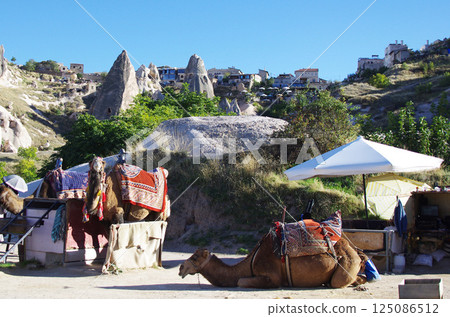 土耳其0194 125086512