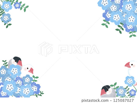 Frame of nemophila of white finch and cherry finch Frame of nemophila of white finch and cherry finch 125087027