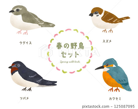 Spring wild birds set Spring wild birds set 125087095