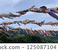 Carp streamer 125087104