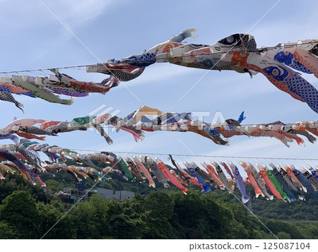 Carp streamer 125087104