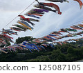    Carp streamer 125087105