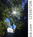 Sunbeams 125087106