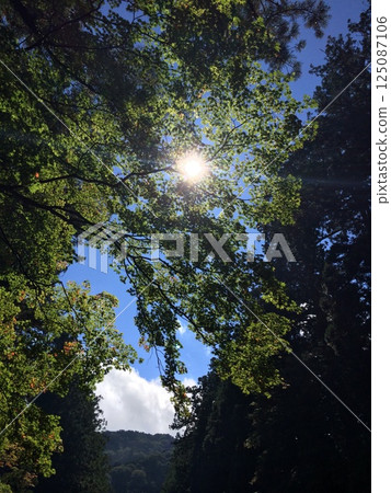 Sunbeams 125087106