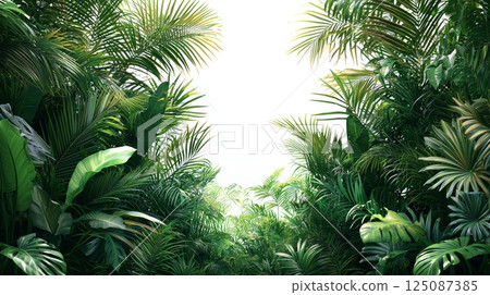 Lush Green Palm Leaves Framing Peaceful Background with Transparent Effects 125087385