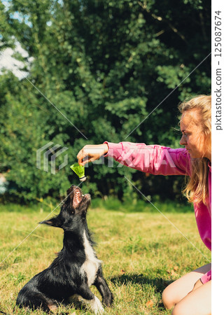 Pretty pet owner playing with dog Neon yellow badminton shuttlecock on green grass outdoors. Alternative fitness recreational sport. Furry friends pet-centric Pretty pet owner playing with dog Neon yellow badminton shuttlecock on green grass outdoors. Alternative fitness recreational sport. Furry friends pet-centric 125087674
