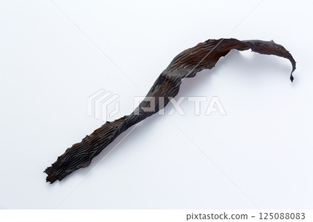 海藻 海藻 125088083