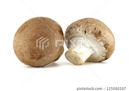 Two fresh cremini mushrooms are arranged closely together on a bright white surface. Two fresh cremini mushrooms are arranged closely together on a bright white surface. 125088187